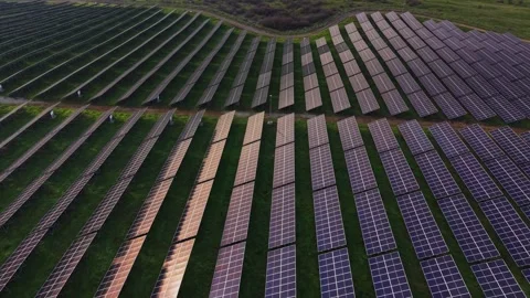 Solar panels arranged in rows on a large field under sunlight Vidéo 330001364