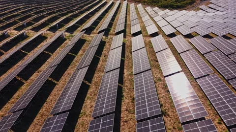 Solar panels arranged in rows in a large field near a city Stock Footage 344541076