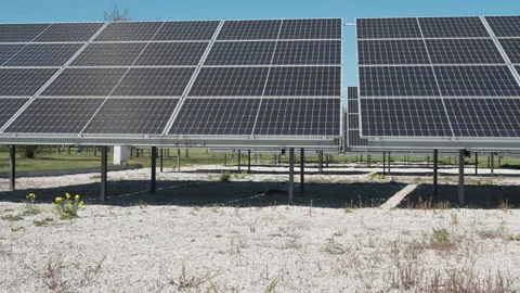 Solar panels array on ground mounts generating renewable energy in field Stock Footage 333982594