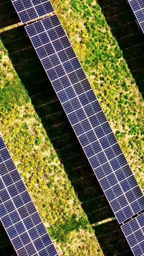 Solar panels array industrial photovoltaic clean electricity sun harvest Stock Footage 309199194