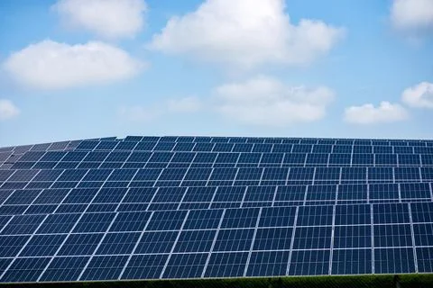 Solar panels array under blue sky green energy Photos