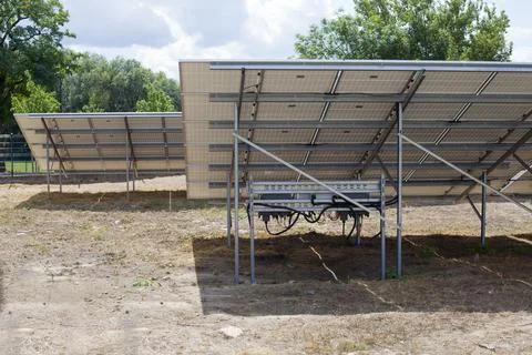 Solar panels at back in mini solar power plant. 写真素材