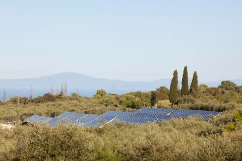 Solar panels between olive trees on part of greek peloponnese called Mani Stock Photos