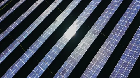 Solar panels capture sunlight in a large field during daytime hours Stock Footage 334028432