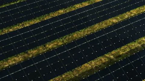 Solar Panels Close Up in Field Stock Photos