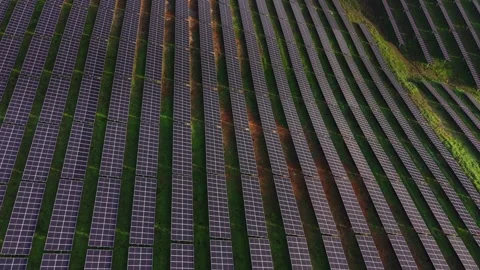 Solar panels collect sunlight on a large field during the day Stock Footage 330002195