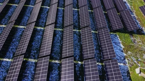 Solar panels cover the ground at a renewable energy site near a field Vidéo 337940620
