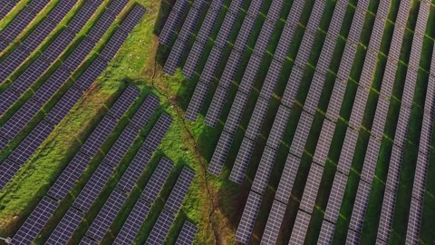 Solar panels cover land in a grid pattern during bright sunlight hours Stock Footage 330002136