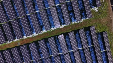 Solar panels cover land in a renewable energy facility near a green path Stock Footage 337940517