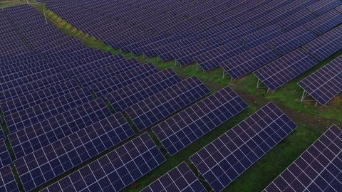 Solar panels cover a large area in a solar farm during the day Vídeos de archivo 330003158