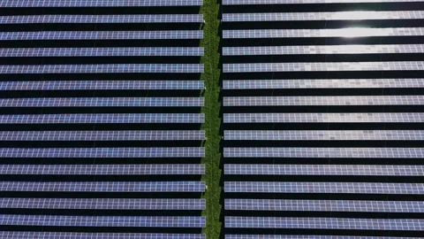 Solar panels cover large area in renewable energy project Video stock 334029165