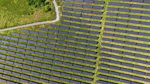 Solar panels cover a large area near a winding path among greenery in a sunny Stock Footage 337889359