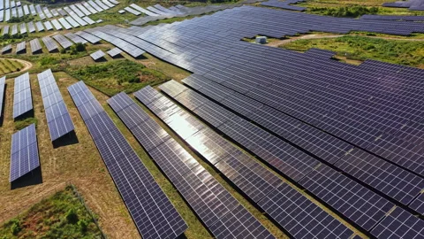 Solar panels cover a large area in a renewable energy farm located in an open Stock Footage 341134744
