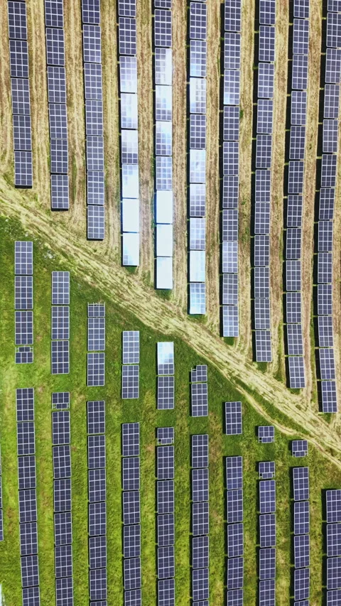 Solar panels cover a large field in a grid pattern with rows stretching into the Stock Footage 337949158