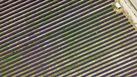 Solar panels cover a large field on a sunny day, showing a pattern of blue and Stock Footage 341135318