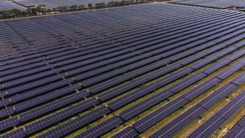 Solar panels cover a large field under a clear sky in the afternoon Видео 342605676