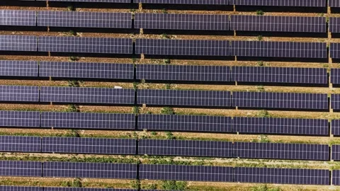Solar panels cover a large field near a rural area in midday light Video stock 342605861