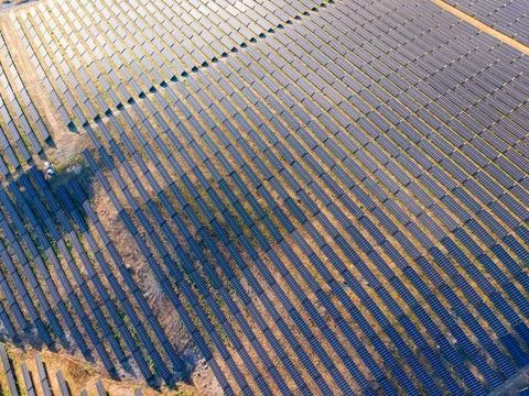 Solar panels cover large fields during the day in a renewable energy project Foto stock