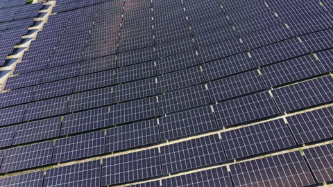 Solar panels covering a large area in a renewable energy project during the 库存影片 342490477