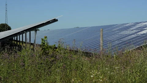 Solar panels farm generating renewable energy on a sunny day Stock-Footage 339558021