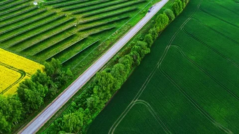 Solar panels farm surrounded by rapeseed and wheat fields near a country road 動画素材 337514808