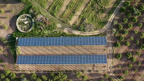 Solar panels in the field Stock Footage 195933194