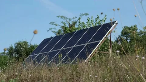 Solar panels in the field surrounded by grass and trees, close-up. Flowers in Video stock 159709946