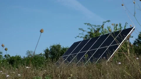 Solar panels in the field surrounded by grass and trees, close-up. Flowers in Video stock 160448365