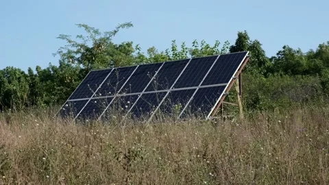 Solar panels in the field surrounded by grass and trees, close-up. Flowers in Stock Footage 161929418