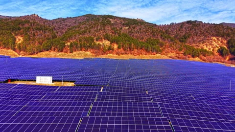 Solar panels filling hillside below pine forest, Bulgaria Stock Footage 336724017