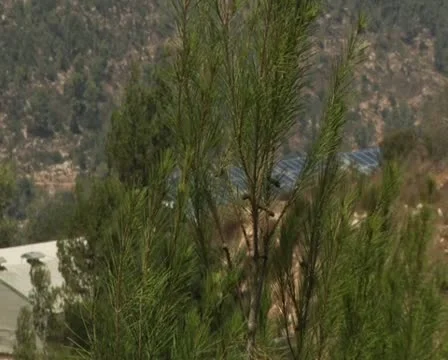 Solar panels Vidéo 10728031