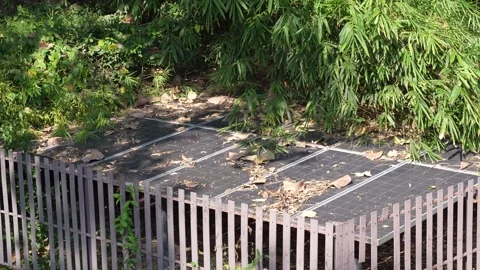 Solar Panels Stock Footage 295306981