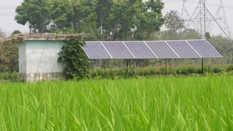 Solar Panels Vidéo 333919865