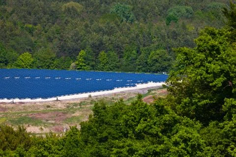Solar panels in the forest Stock Photos