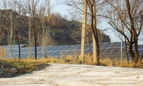 Solar panels in the forest Stock Photos
