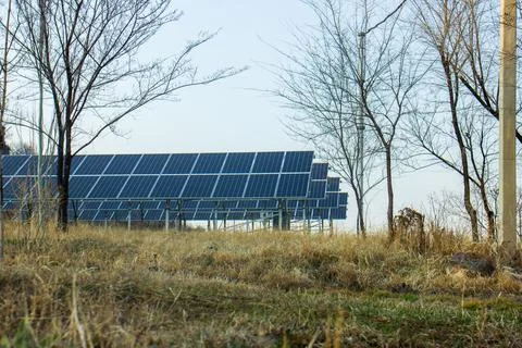 Solar panels in the forest wit the trees Stock Photos