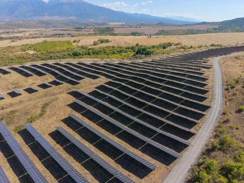 Solar panels form long parallel rows on sloped farmland. Solar farm sits besi Fotos de archivo