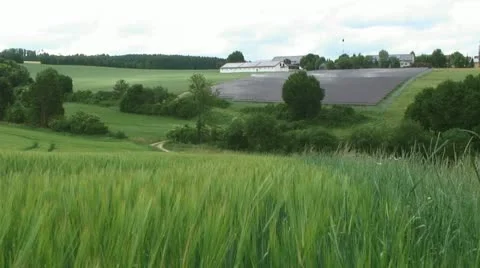 Solar Panels in Germany Stock Footage 11184415