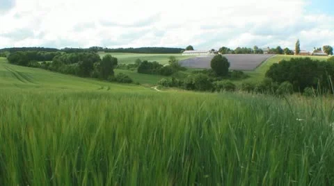 Solar Panels in Germany Stock Footage 11184416
