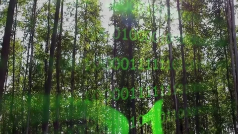 Solar Panels At Green Energy In Binary Code Climate Change. 動画素材 310007550