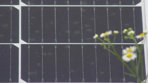 Solar panels installed in the field Stock Footage 137133989