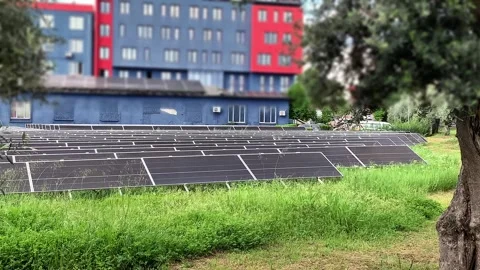 Solar panels installed on green grass near building, Eco-friendly energy  Stock Footage 311866426