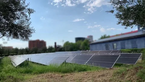 Solar panels installed on green grass near building, Eco-friendly energy Stock Footage 311867925