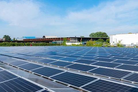 Solar panels installed on the ground under a blue sky with light clouds. Stock Photos