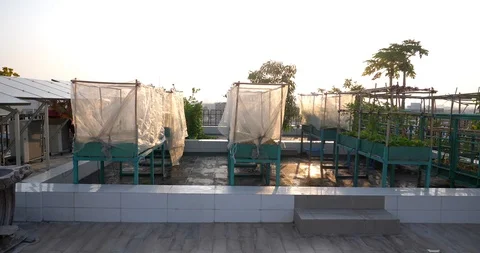 Solar panels installed on the rooftop Stock Footage 88652573