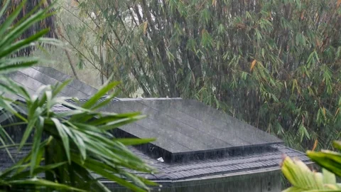 Solar Panels in jungle doing Heavy Rain Falling on Rooftop, Medium Shot, bamboo Stock Footage 345773331