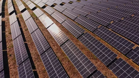 Solar panels in a large field capture sunlight Stock Footage 344541073