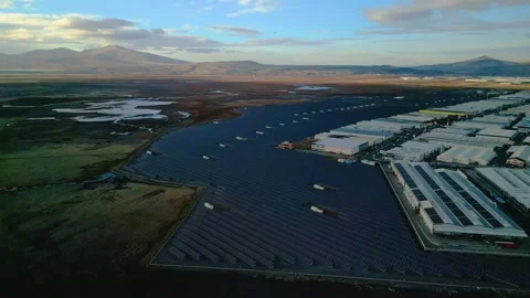 Solar Panels Mounted at Rural Area with High Sun Exposure 動画素材 293451985