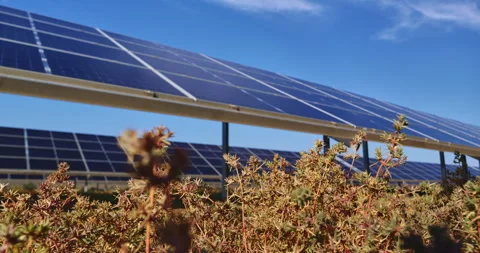 Solar panels in an outdoor setting with dry vegetation under a clear blue sky Stock Footage 302221522