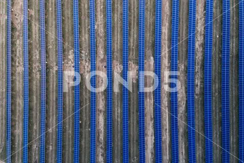 Solar panels placed on a countryside meadow. Stock Photos